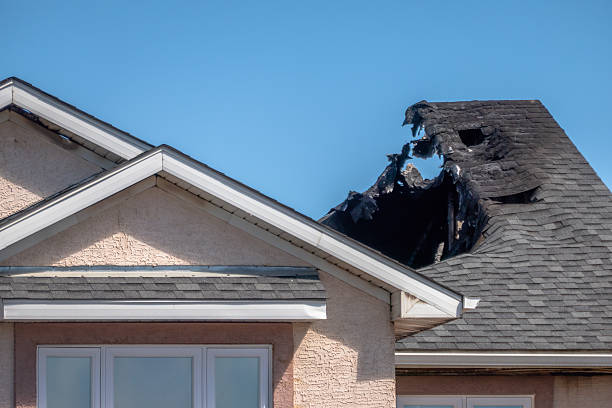 Top rated local Board Up Services specialists in Burlington, WA